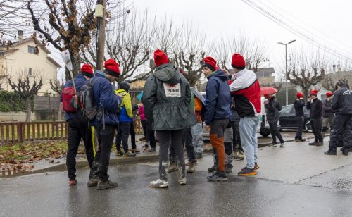 Baixade-de-Teies-2025-2182