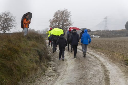 Baixade-de-Teies-2025-2217