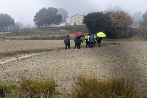 Baixade-de-Teies-2025-2219