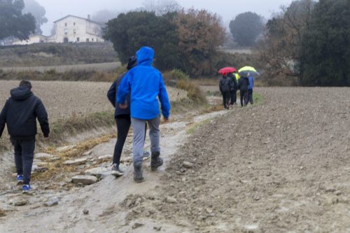 Baixade-de-Teies-2025-2220