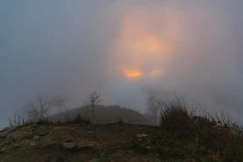 Baixade-de-Teies-2025-2232