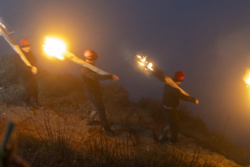 Baixade-de-Teies-2025-2437