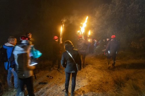 Baixade-de-Teies-2025-2449