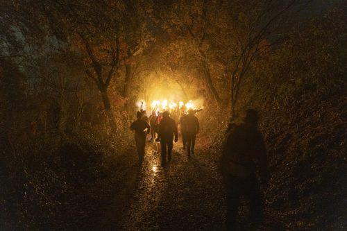 Baixade-de-Teies-2025-2462