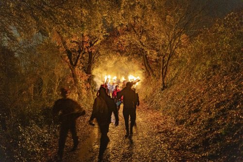 Baixade-de-Teies-2025-2463