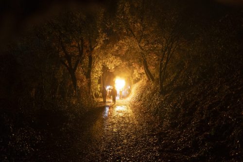 Baixade-de-Teies-2025-2472