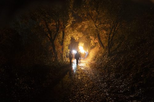 Baixade-de-Teies-2025-2473