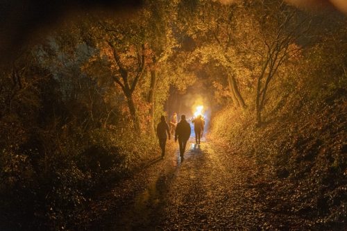 Baixade-de-Teies-2025-2474