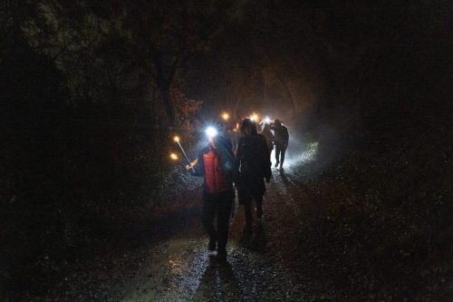 Baixade-de-Teies-2025-2479