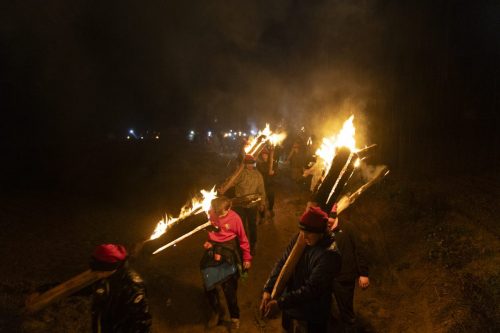 Baixade-de-Teies-2025-2482