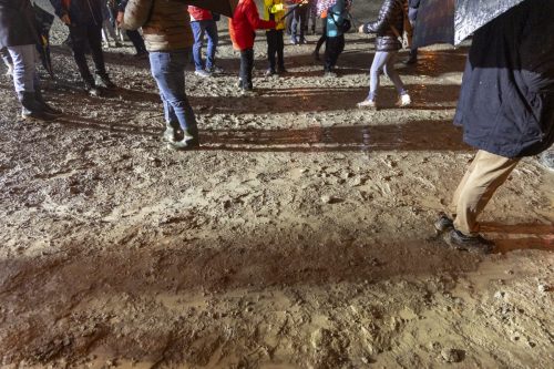 Baixade-de-Teies-2025-2528