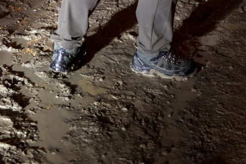 Baixade-de-Teies-2025-2530