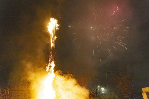 Baixade-de-Teies-2025-2558