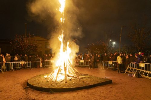 Baixade-de-Teies-2025-2572